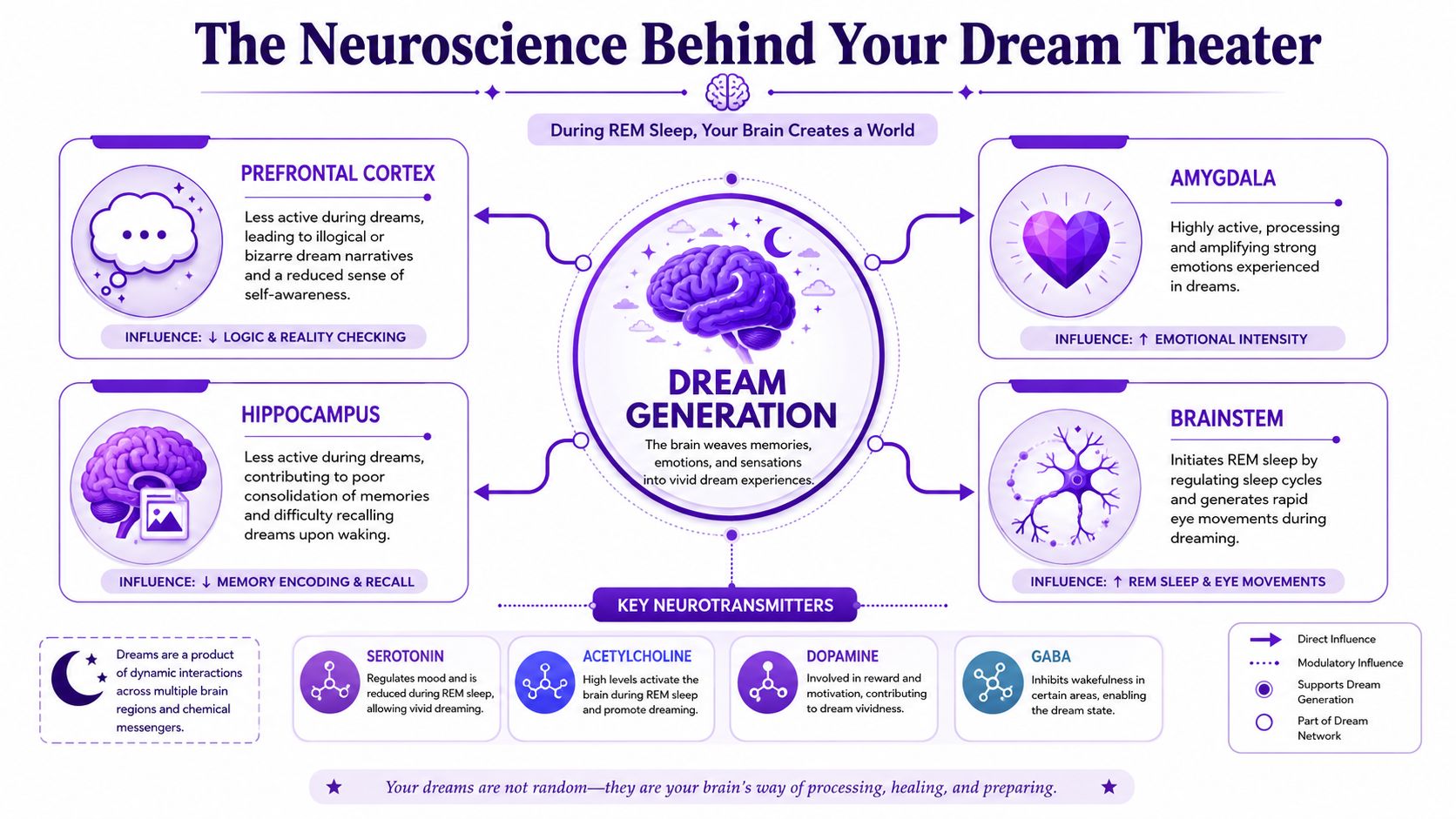An infographic titled The Neuroscience Behind Your Dream Theater explaining brain regions and neurotransmitters during REM sleep.