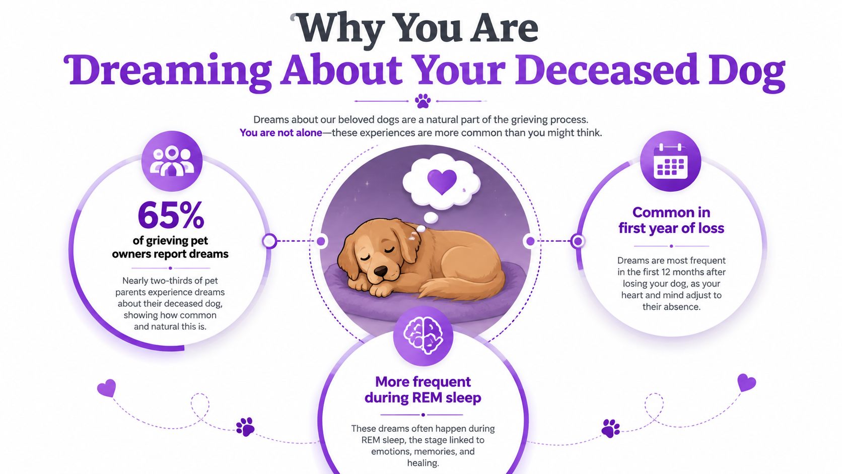 An infographic titled Why You Are Dreaming About Your Deceased Dog, showing statistics about grief-related pet dreams.